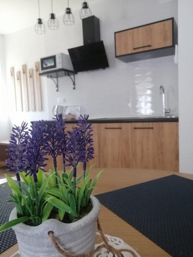 Appartement Plitvice Story à Plitvička Jezera Extérieur photo